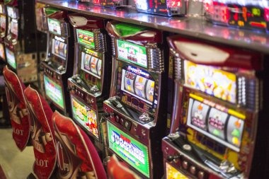 Wolf Gold slot interface on samudrabet mobile app